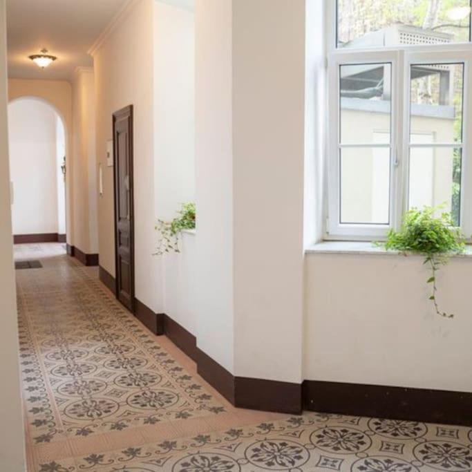 Josef'S Home I Apartment Klaehrgasse I 01 Wien Ngoại thất bức ảnh